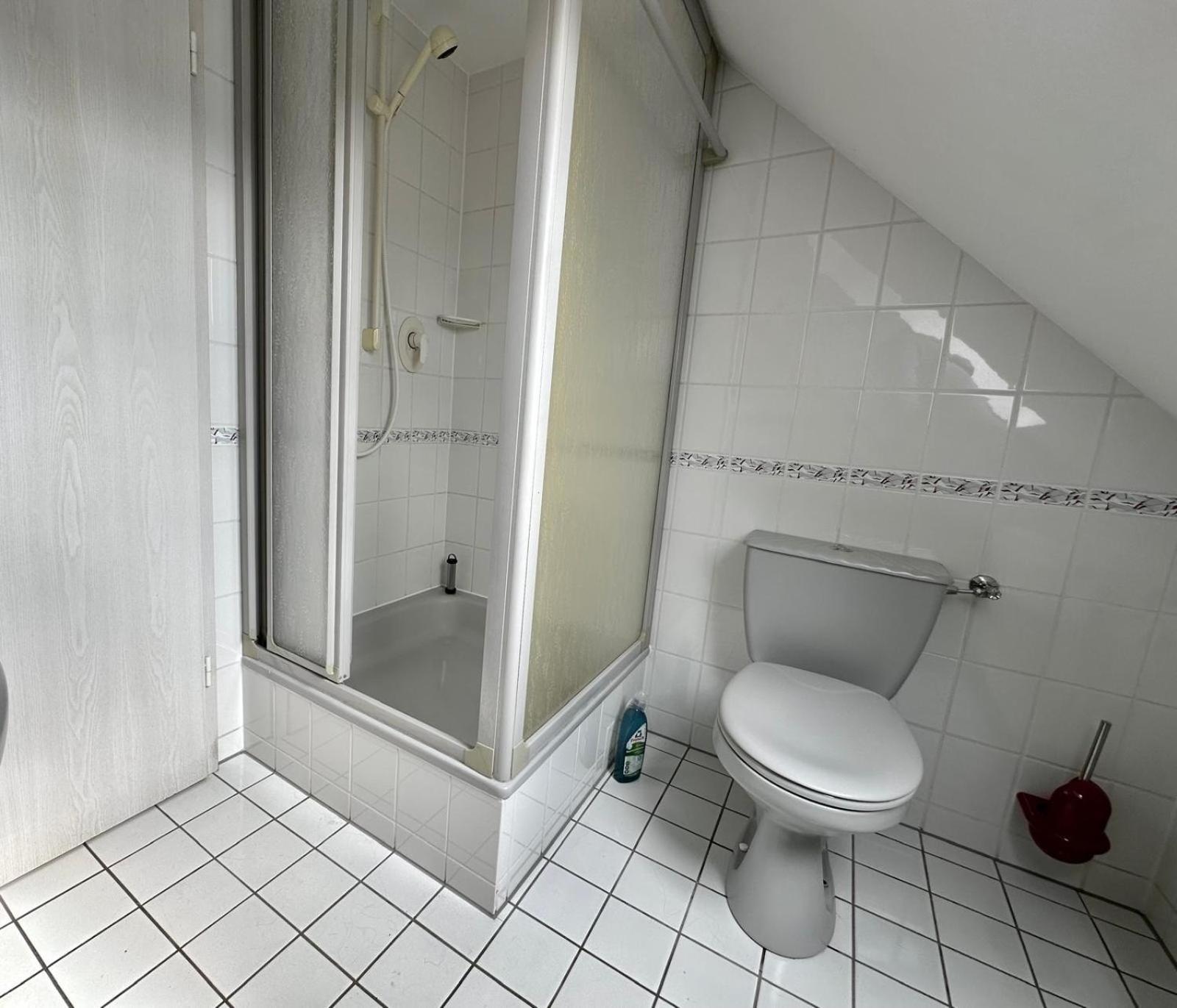 Ferienwohnung Sonnenschein Mit Kleinem Bauernhof Thale Extérieur photo